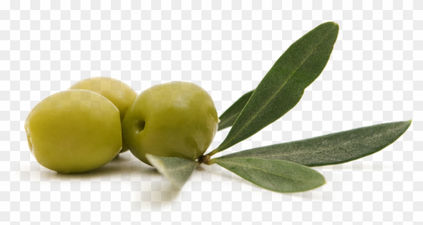 The Campsite Enjoys A Privileged Panoramic Position - Greek Olive Oil Clipart