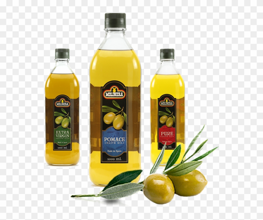 Molinera Mediterranean Olive Oil , Png Download - Olive Clipart