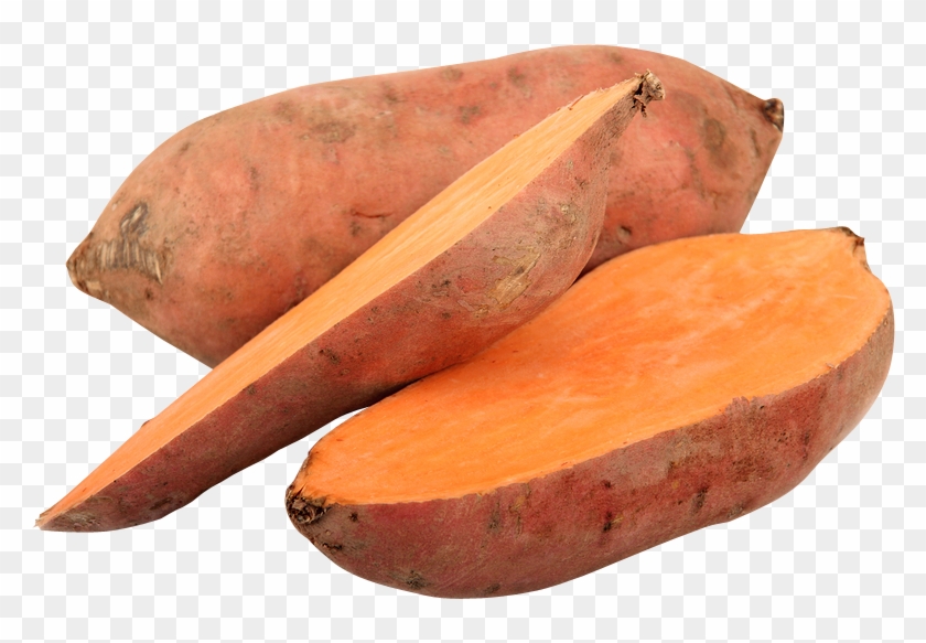 Sweet Potato Png Sweet Potato No Background Clipart Pikpng