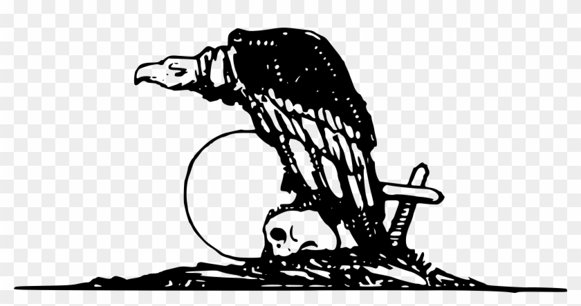 Turkey Vulture Flying Transparent Png - Vulture Drawing Png Clipart