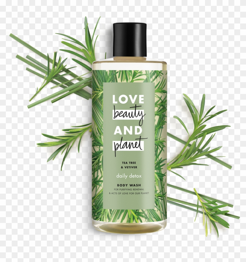 Love Beauty And Planet Rosemary & Vetiver Shower Gel Clipart #2399636