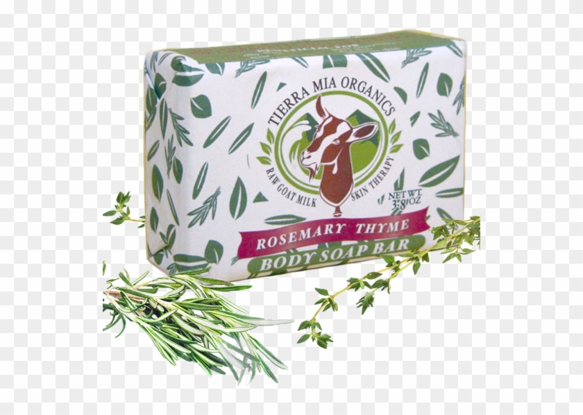Rosemary Thyme Soap Bar - Box Clipart