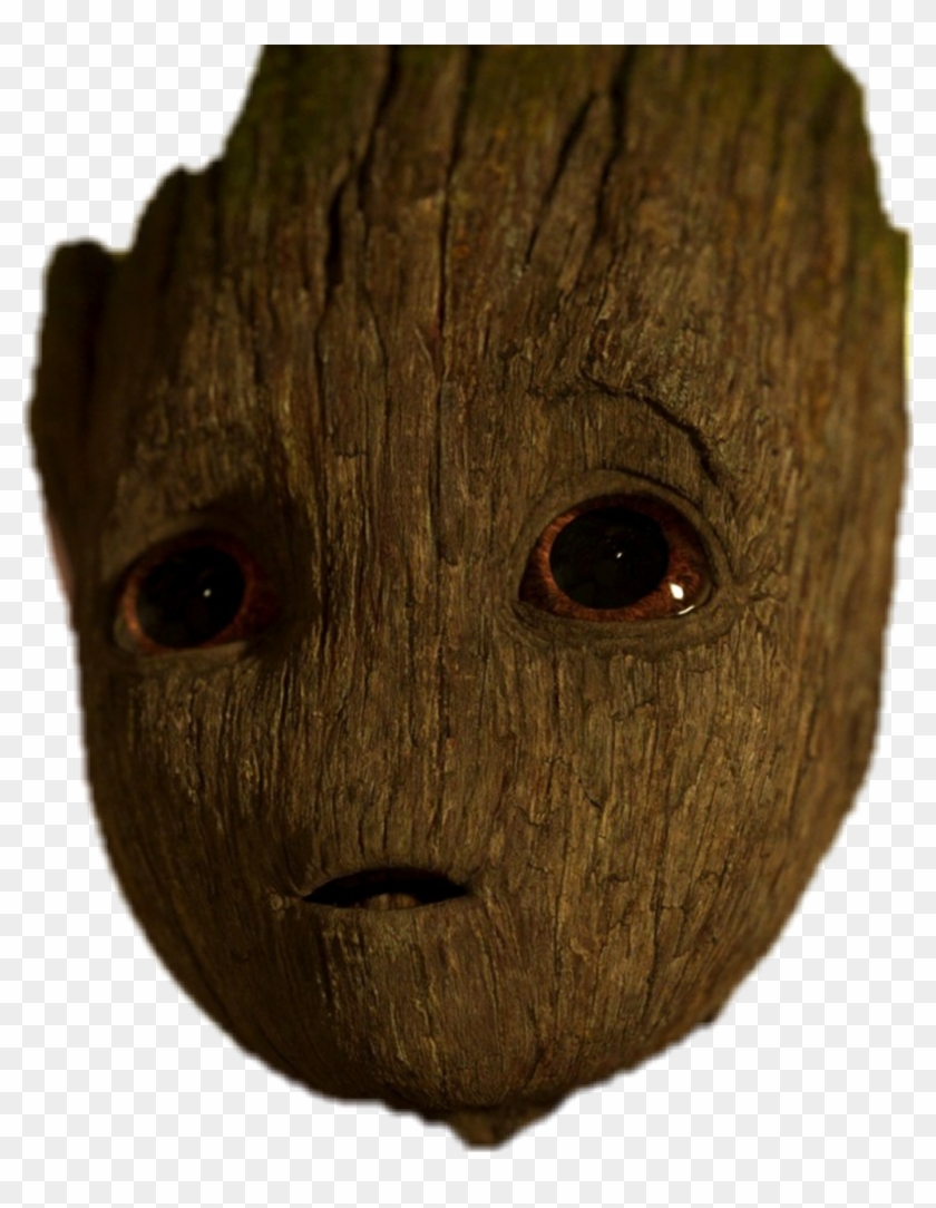 Report Abuse - Animal Figure Clipart #240018