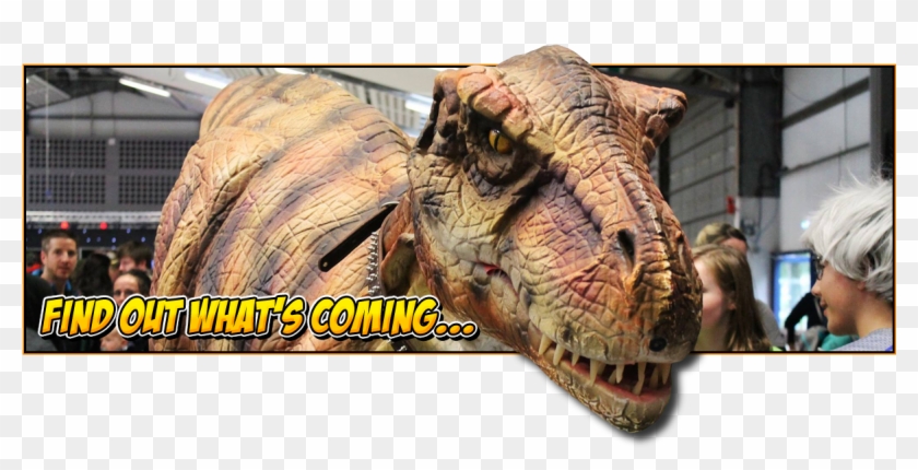 What's On At Nor-con - Triceratops Clipart #240069