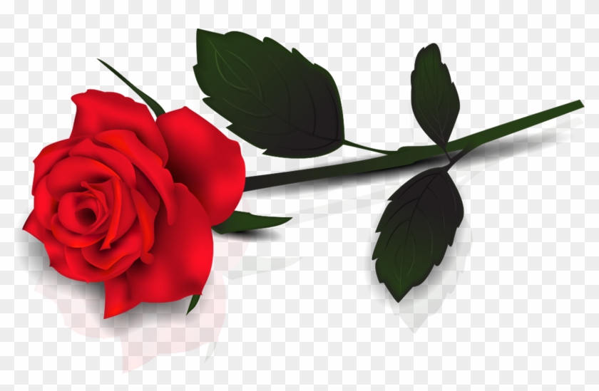 Rose Png - Single Red Rose Clip Art Transparent Png #240748
