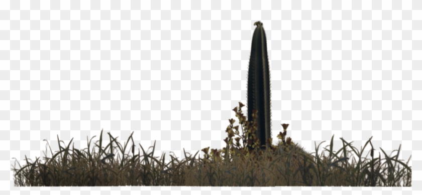 Desert Plants Png Clipart
