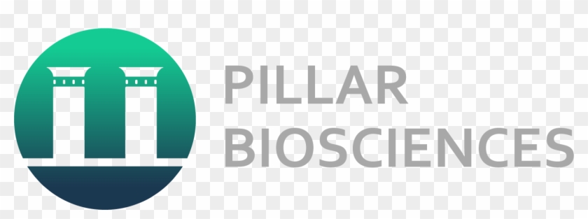 Facultad Ciencias Del Deporte Granada Clipart #241782