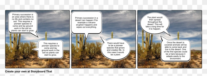 Desert Example Of Primary Succession Clipart