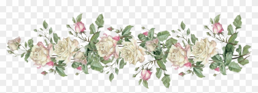 911 X 433 20 - White Roses Border Png Clipart #242780