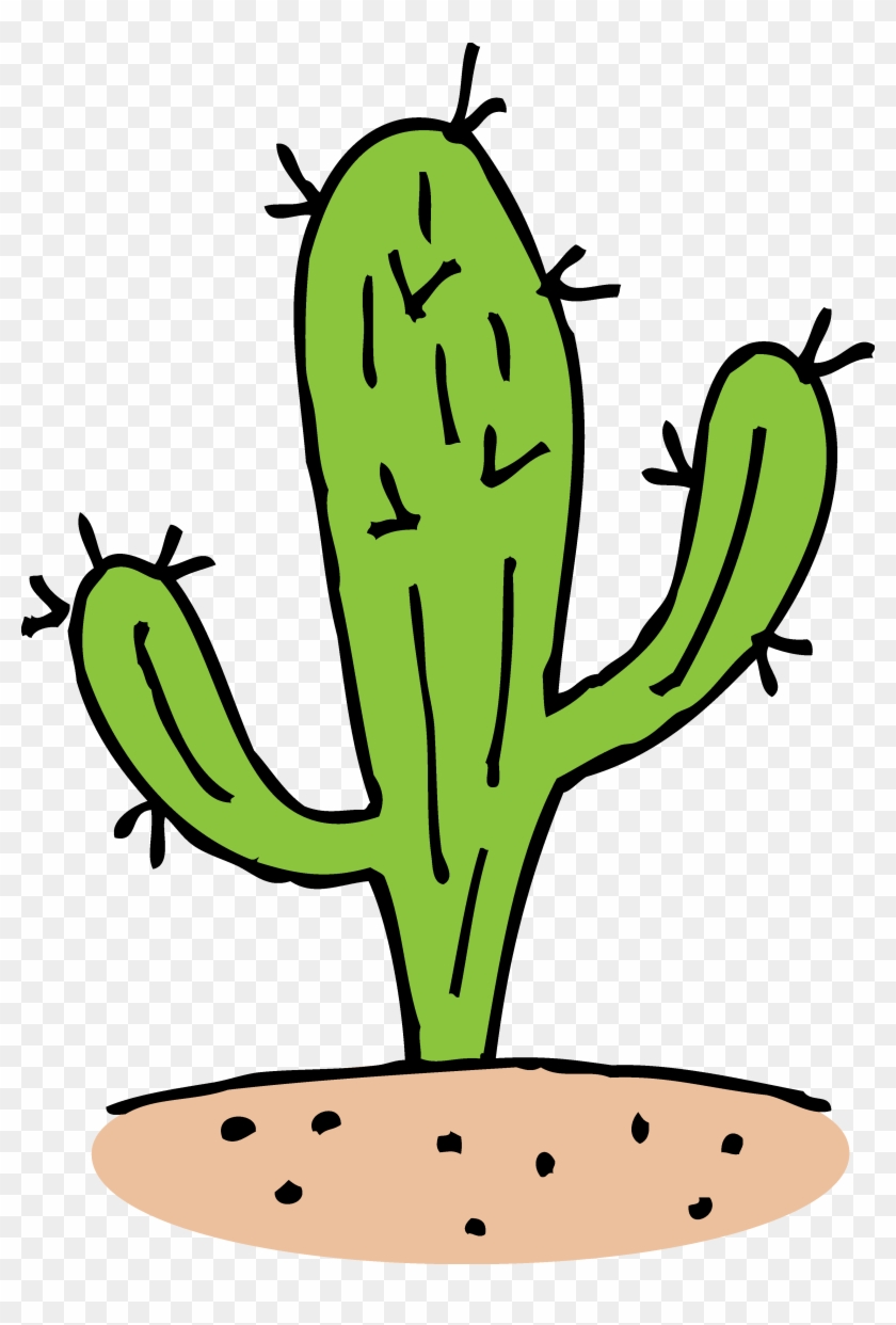 3323 X 4757 7 - Transparent Cactus Clipart - Png Download