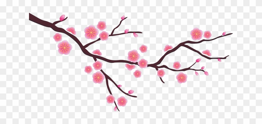 Jeju Island - Simple Cherry Blossom Drawing Clipart