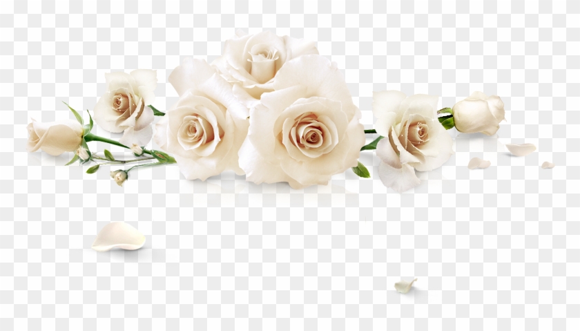 Spilled White Roses - Garden Roses Clipart