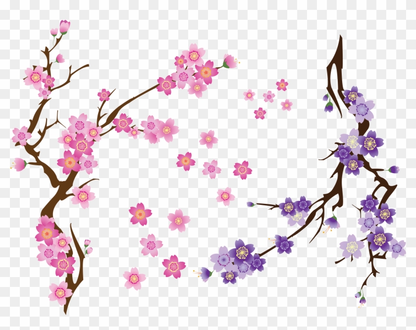 Cherry Blossom Drawing Clip Art - Png Download #243531