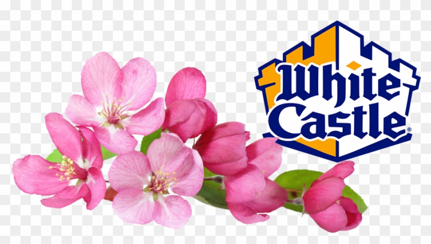 White Castle, The Oldest Fast Food Company In The United - Beastie Boys White Castle Clipart #243748