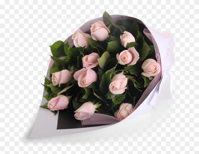 Soft Pink Rose Bouquet - Garden Roses Clipart