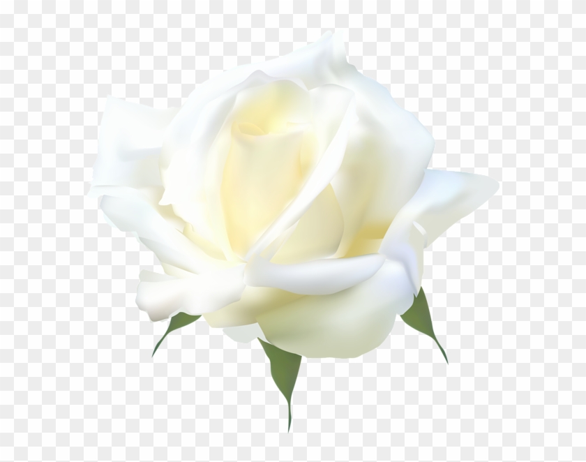 Visit - Floribunda Clipart