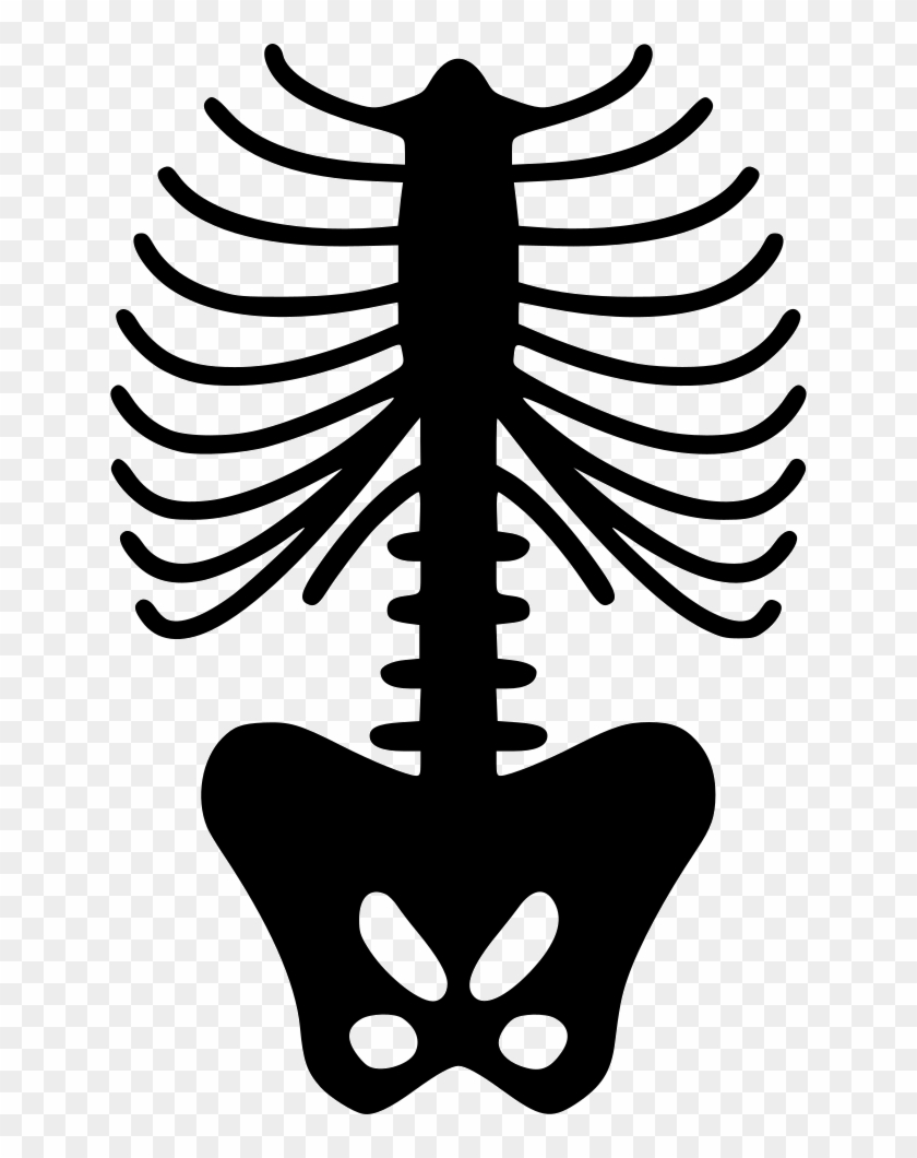 Png File - Human Skeleton Icon Png Clipart #246711
