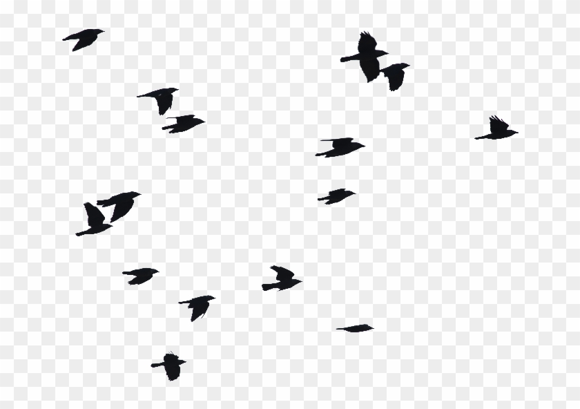 Birds Flying Png Image - Birds Flying Silhouette Png Clipart