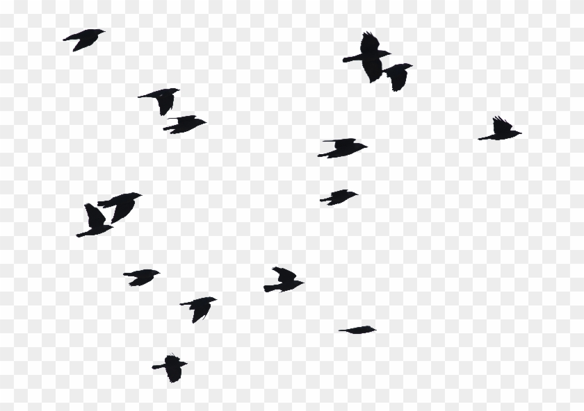 Birds Flying Png Image - Birds Flying Silhouette Png Clipart #246729