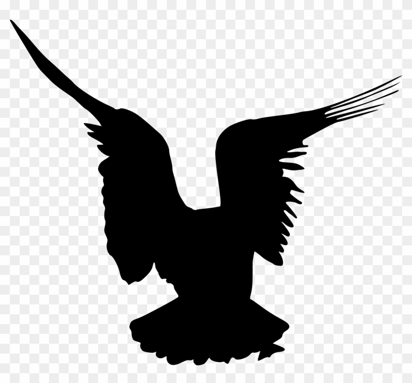 Free Download - Birds Fly On Transparent Background Clipart