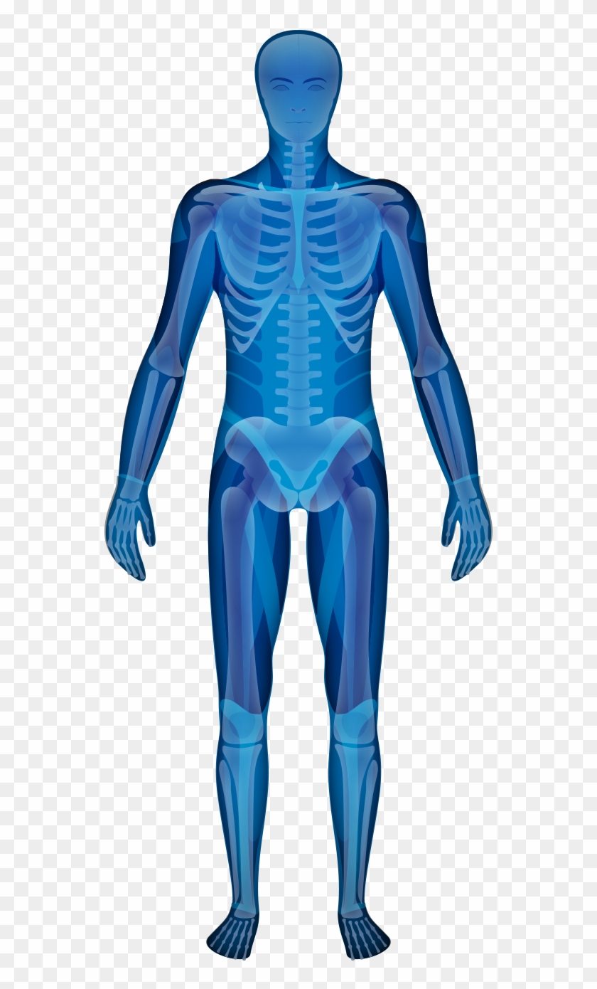 World-class Joint & Spine Care - Male Clipart #247014