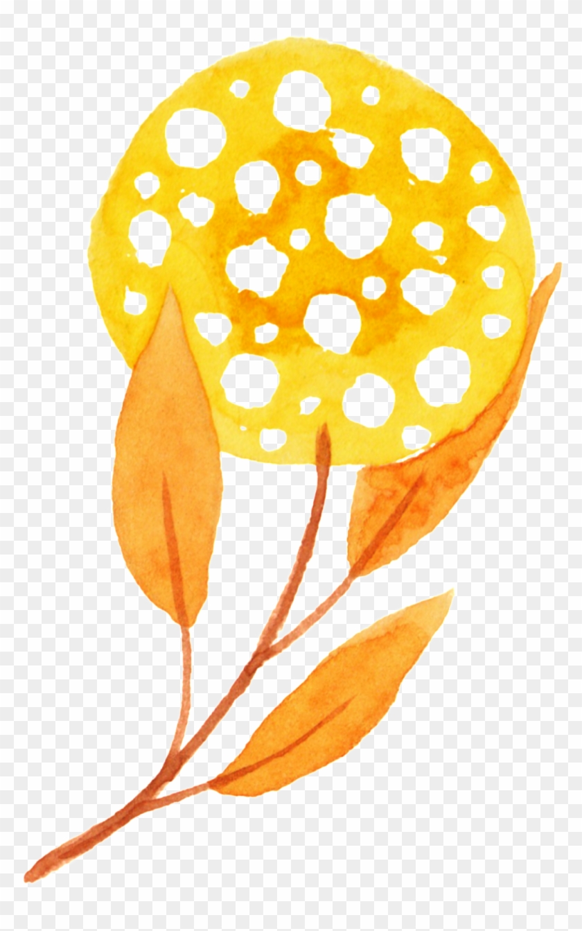 Plant Autumn Transparent Free Buckle Png This Backgrounds - Illustration Clipart #247034