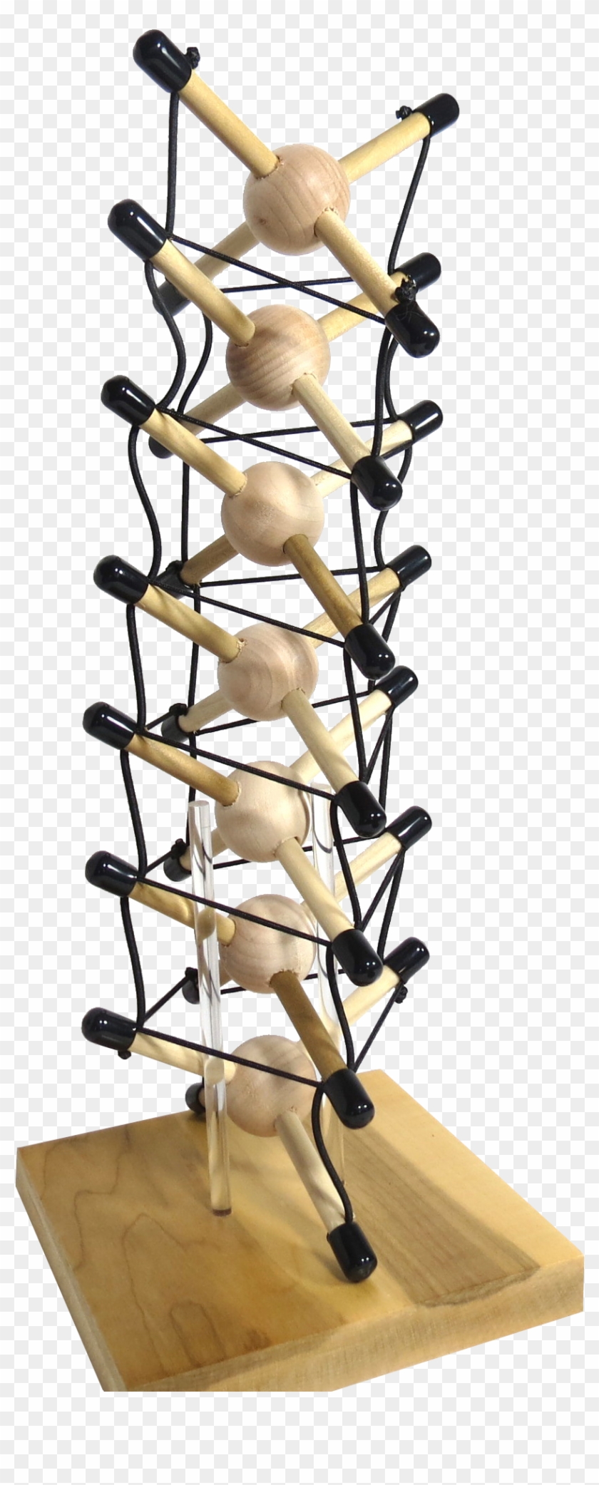 Tensegrity Spine - Wood Clipart