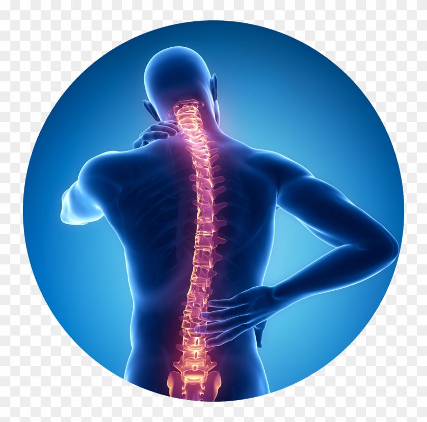 Illustration Of Back In Blue With Spine Highlighted - Laser Spine Surgery Clipart