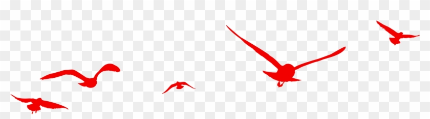 Birds Flying Transprent Png Free - Red Bird Flying Clipart Transparent Png