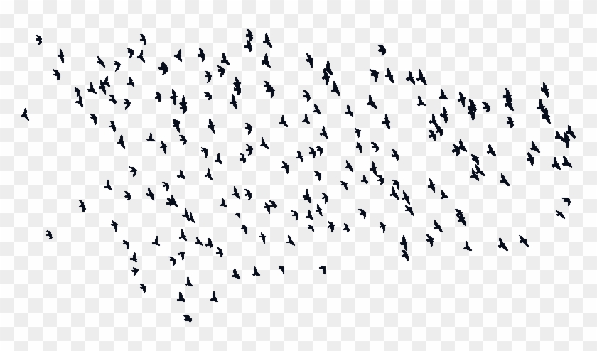 Input Flock Of Birds Silhouette Clipart #247311