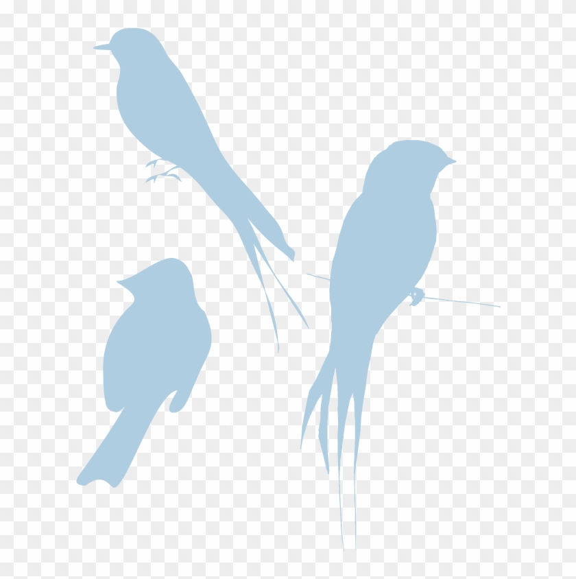 Blue Bird Png - Bird Silhouette Clipart #247612