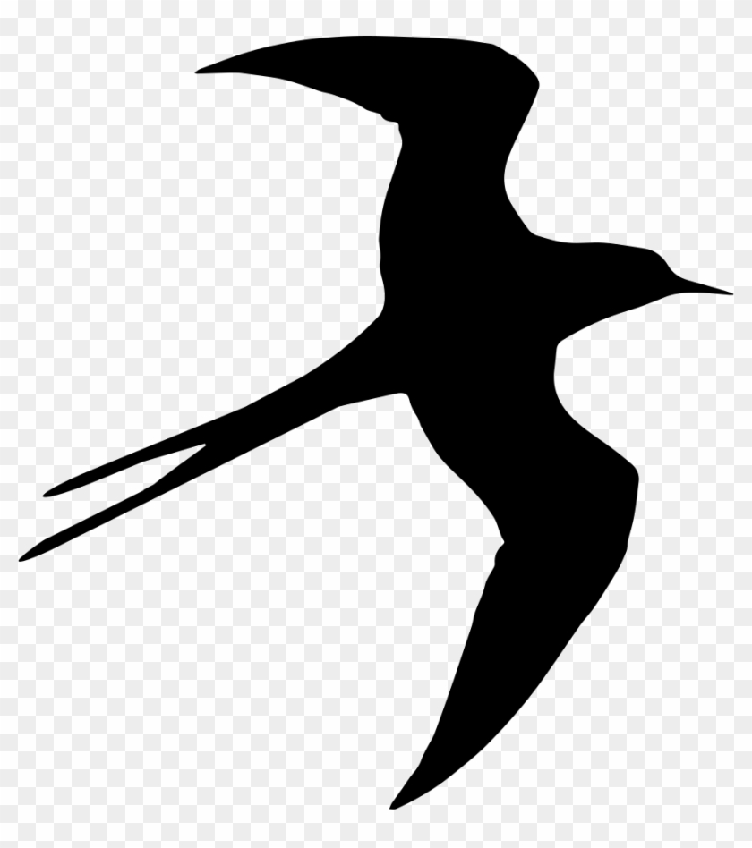 Swallow Bird Flying Silhouette Comments - Vektor Burung Walet Clipart