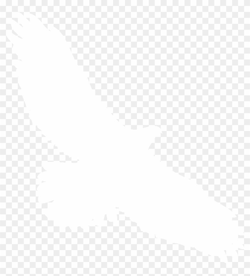 1024 X 1024 4 - White Hawk Silhouette Clipart #247850