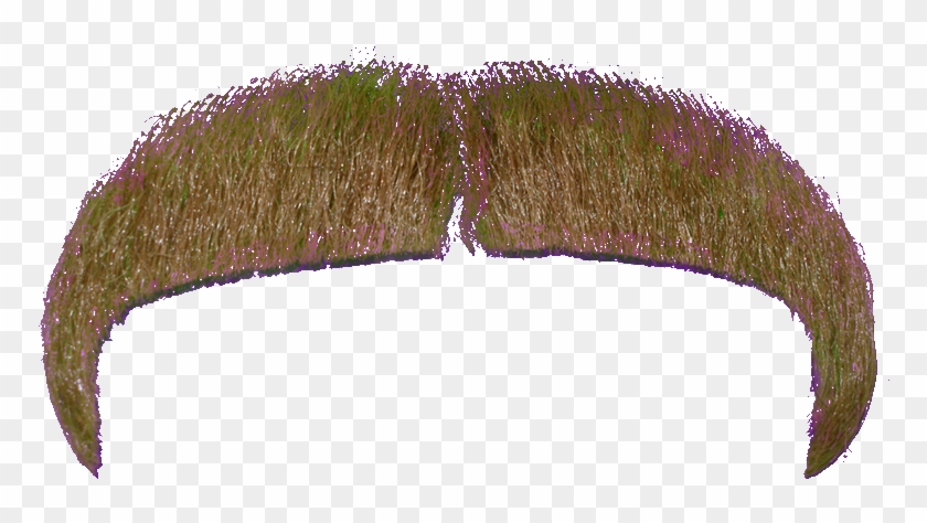 Moustache Png File Mart - Real Mustache Transparent Background Clipart