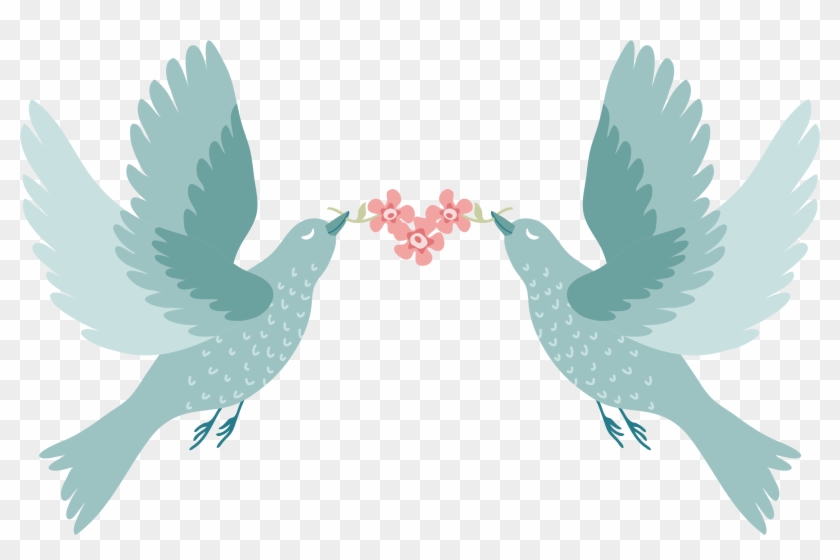 Featured image of post Love Birds Photos Download