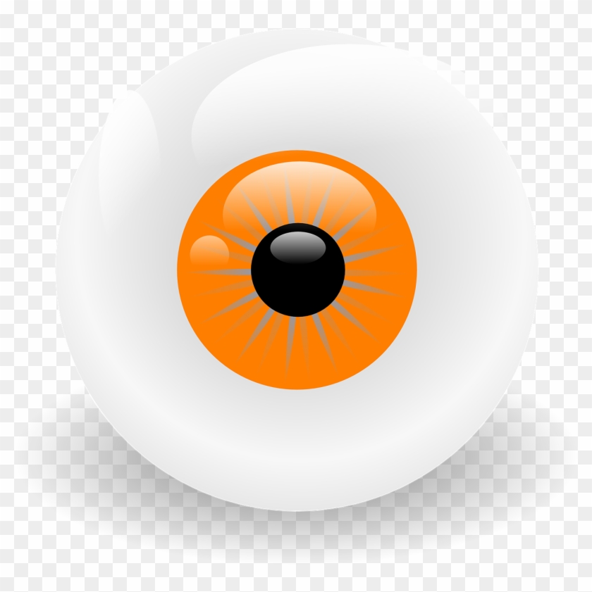 Eyeball Iris Pupil Looking View Png Image - Circle Clipart #2400035