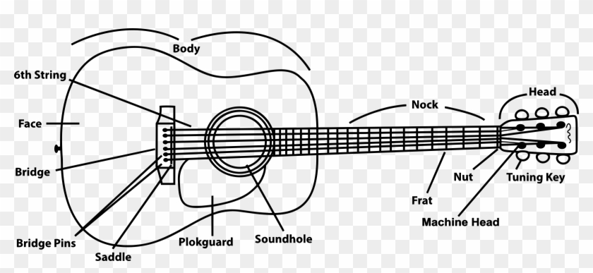 Acoustic Guitar - Annotated Guitar Clipart #2401549