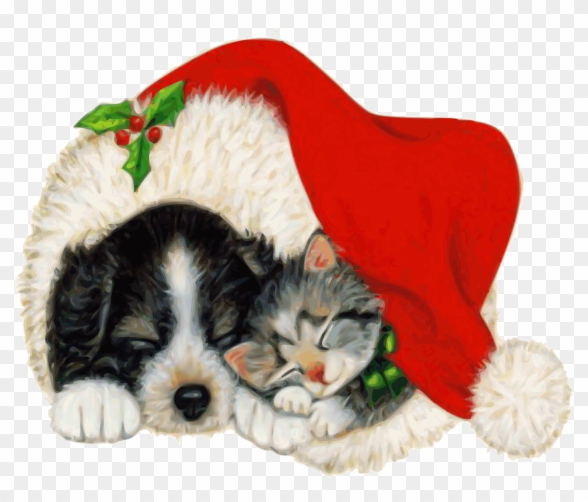 Dog Cat Pet - Christmas Puppy And Kitty Clipart