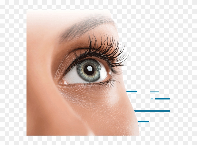 About The Procedure - Women's Eye Health And Safety Month 2019 Clipart #2402502
