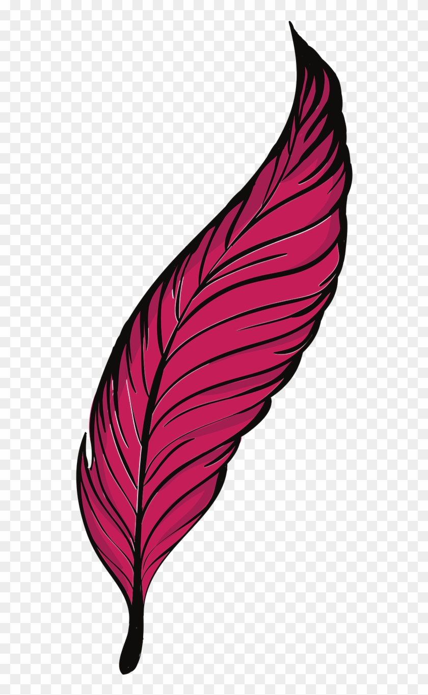Pen Feathers Bird Animal Png Image - Plumas Png Clipart #2403132