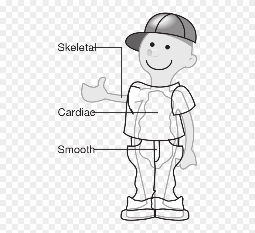 58294main The - Human Body Clipart