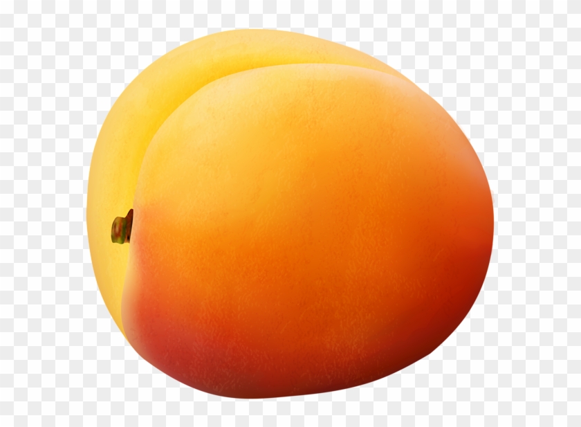 Apricot Transparent Png Image - Sphere Clipart