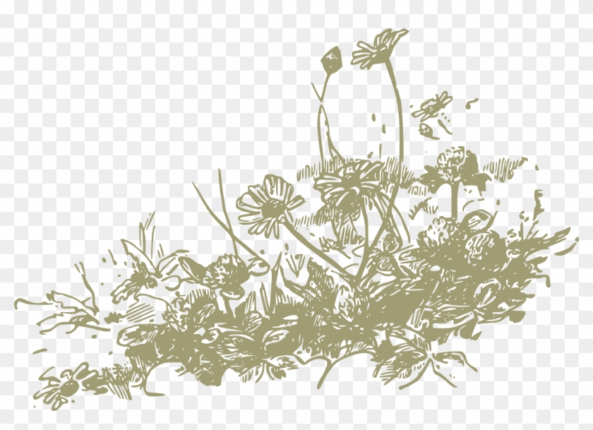 Dainty Flower - Clipart - Wild Flowers Illustration Png Transparent Png #2405438