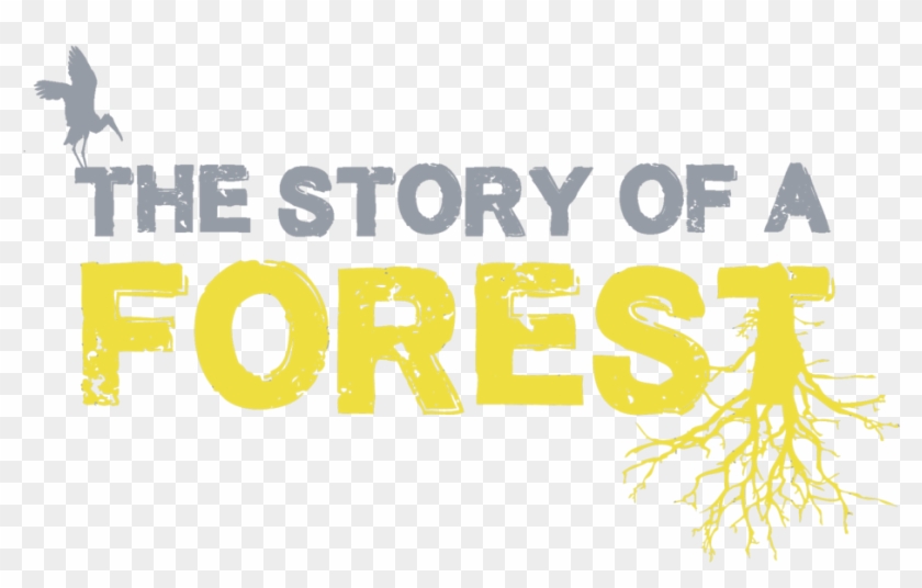 The Forest Logo Png - Graphic Design Clipart