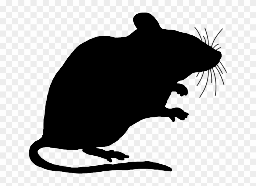 Mouse Clip Art Cute Silhouette Big - Mouse Clipart Black - Png Download