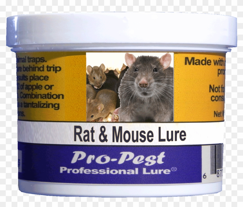 Pro Pest Rat & Mouse Lure Prof 8 Oz Jars 8ct - Groundhog Clipart #2405727