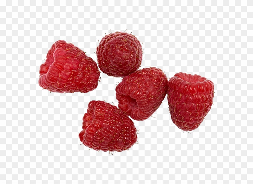 Organic Raspberries - Seedless Fruit Clipart