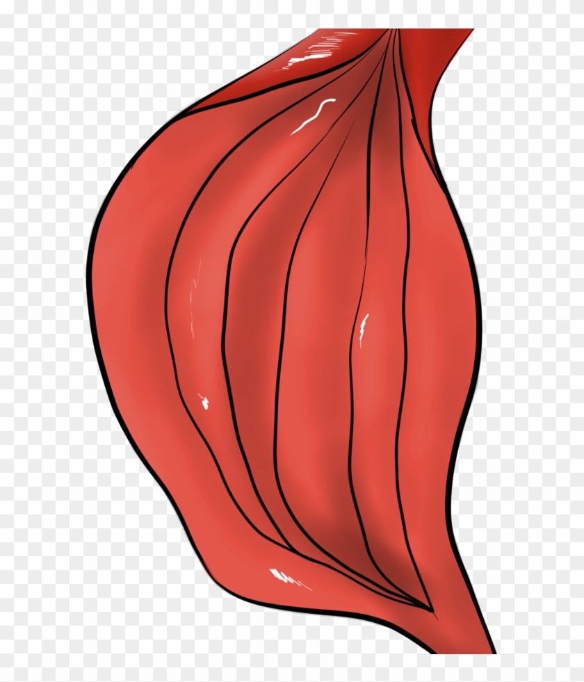 Free To Use Stomach Clipart #2406403