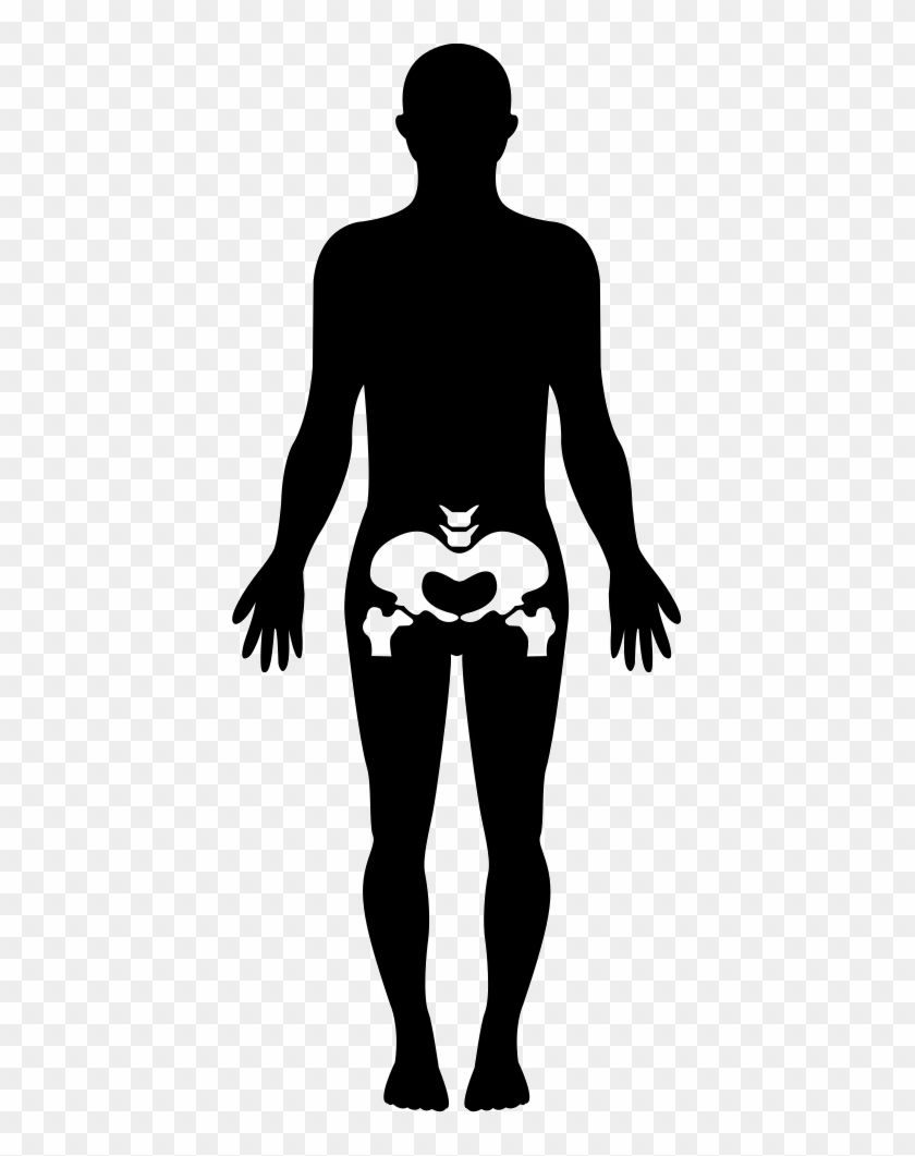 Hips Human Body Part Comments - Human Body Clipart #2406501