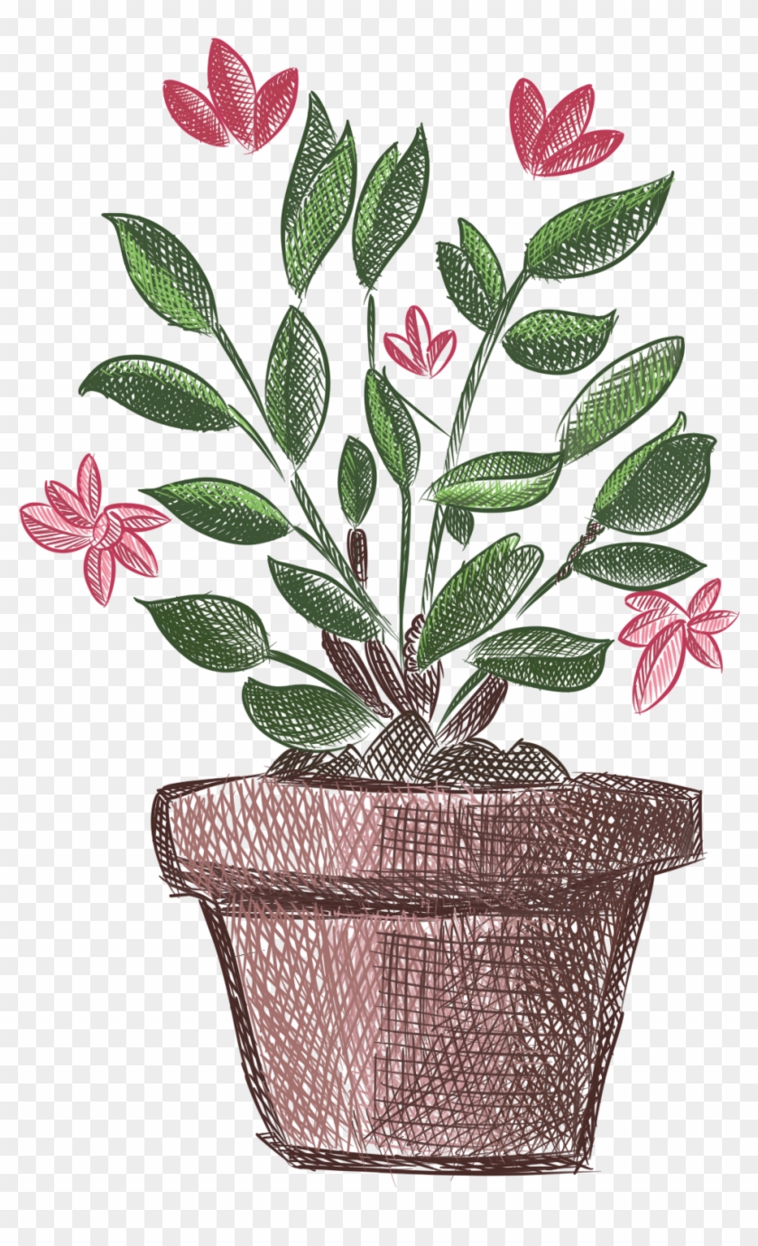 Hand Painted Plants Flowers Fresh Potted Png And Psd - Plants Clipart #2407086